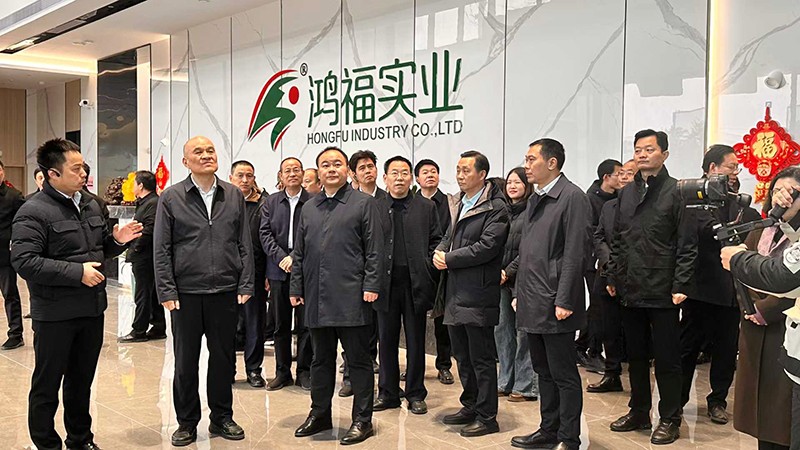 感受发展“加速度”，衡阳市领导深入衡山县重大项目麻豆电影AV免费观看实业现场